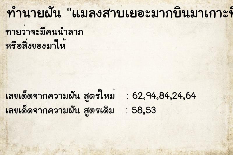 ทำนายฝันทำนายฝันแมลงสาบเยอะมากบินมาเกาะที่ตัว