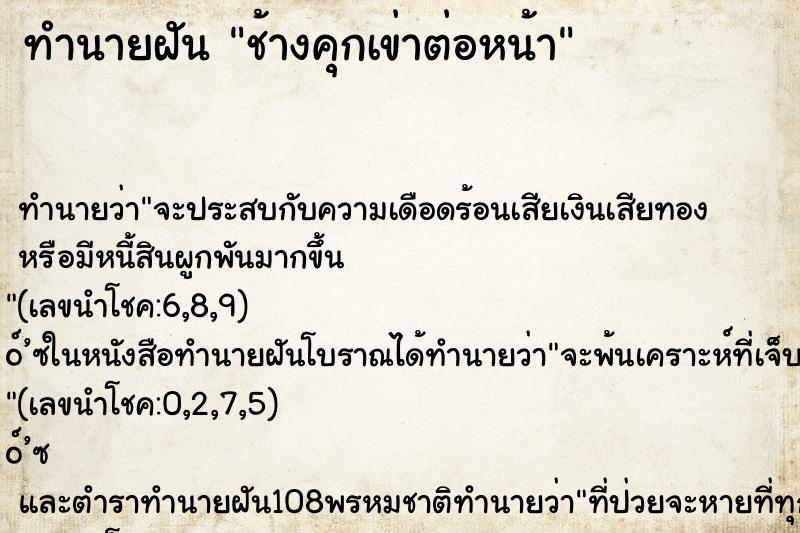 ทำนายฝันทำนายฝันช้างคุกเข่าต่อหน้า