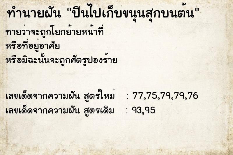 ทำนายฝันปีนไปเก็บขนุนสุกบนต้น ทำนายฝันทำนายฝันปีนไปเก็บขนุนสุกบนต้น