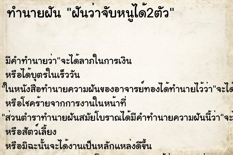 ทำนายฝัน ฝันว่าจับหนูได้2ตัว ทำนายฝัน ฝันว่าจับหนูได้2ตัว
