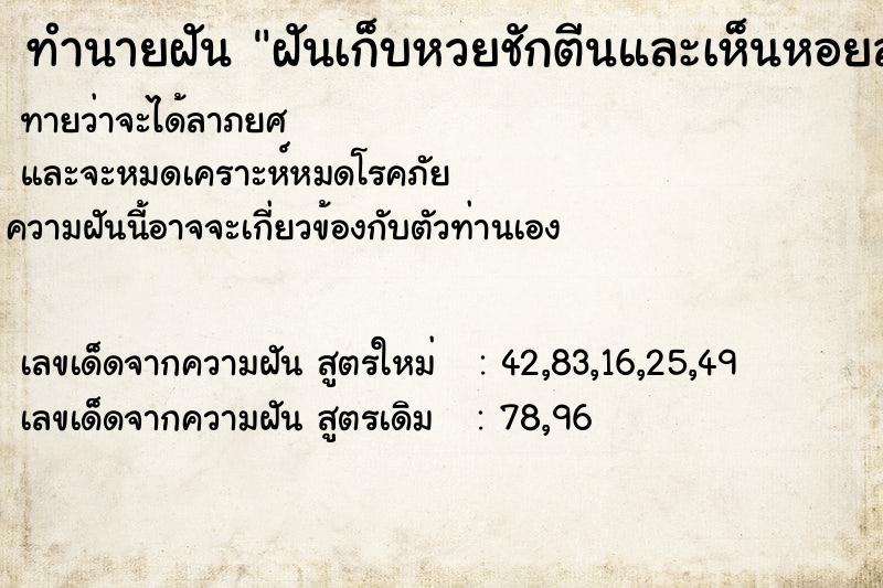ทำนายฝันฝันเก็บหวยชักตีนและเห็นหอยลายเยอะมาก ทำนายฝันทำนายฝันฝันเก็บหวยชักตีนและเห็นหอยลายเยอะมาก