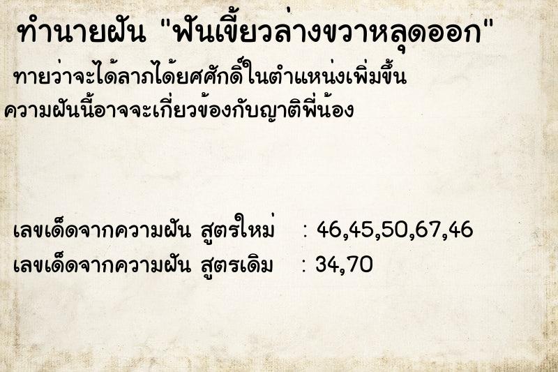 ทำนายฝันฟันเขี้ยวล่างขวาหลุดออก ทำนายฝันทำนายฝันฟันเขี้ยวล่างขวาหลุดออก