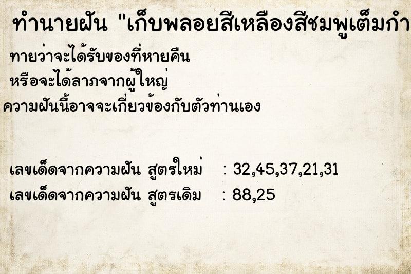 ทำนายฝันทำนายฝันเก็บพลอยสีเหลืองสีชมพูเต็มกำมือ