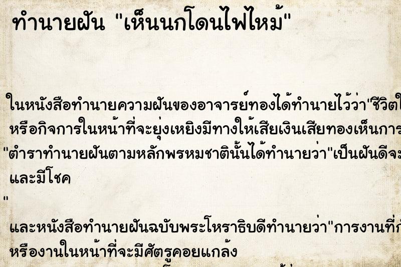 ทำนายฝันทำนายฝันเห็นนกโดนไฟไหม้