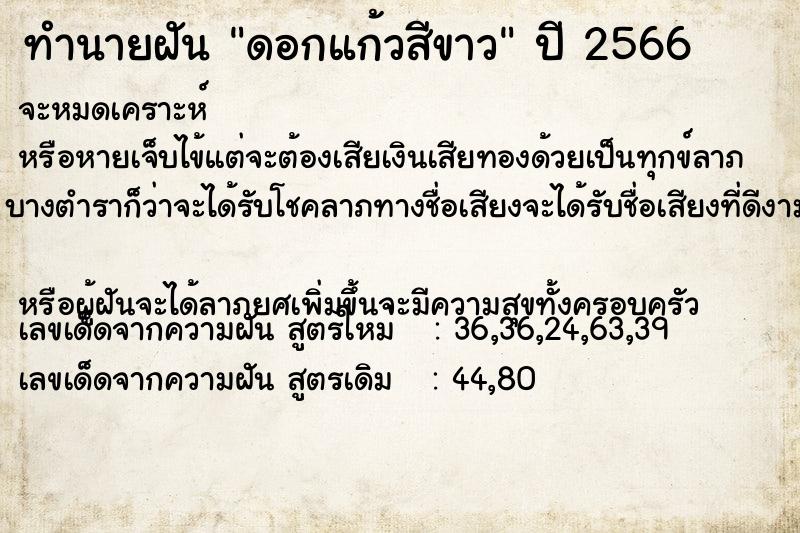 ทำนายฝัน ดอกแก้วสีขาว ทำนายฝัน ดอกแก้วสีขาว