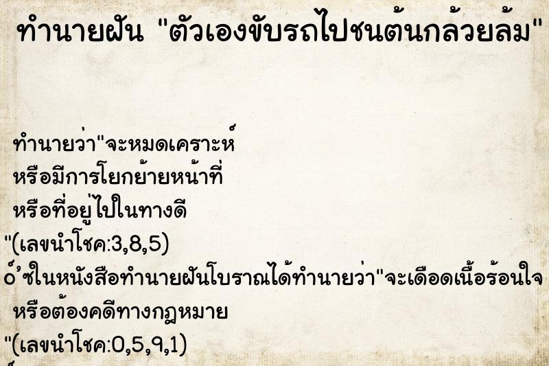ทำนายฝันตัวเองขับรถไปชนต้นกล้วยล้ม ทำนายฝันทำนายฝันตัวเองขับรถไปชนต้นกล้วยล้ม