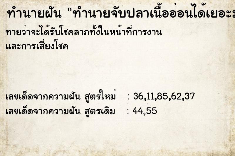 ทำนายฝันทำนายจับปลาเนื้ออ่อนได้เยอะมาก ทำนายฝันทำนายฝันทำนายจับปลาเนื้ออ่อนได้เยอะมาก