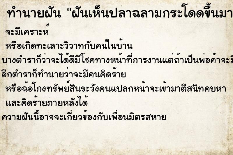 ทำนายฝันฝันเห็นปลาฉลามกระโดดขึ้นมาจะกัด ทำนายฝันทำนายฝันฝันเห็นปลาฉลามกระโดดขึ้นมาจะกัด