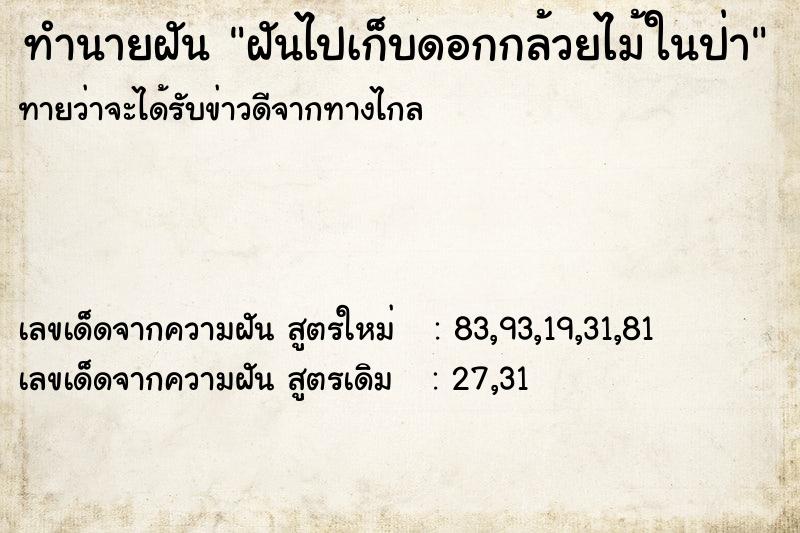 ทำนายฝัน ฝันไปเก็บดอกกล้วยไม้ในป่า ทำนายฝัน ฝันไปเก็บดอกกล้วยไม้ในป่า