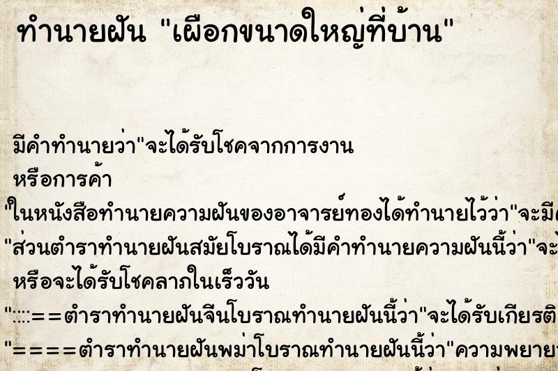 ทำนายฝัน เผือกขนาดใหญ่ที่บ้าน ทำนายฝัน เผือกขนาดใหญ่ที่บ้าน