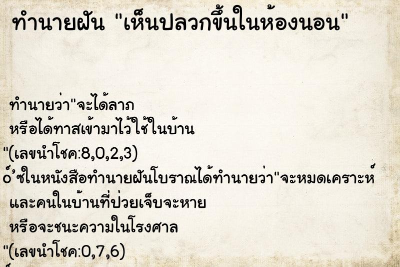 ทำนายฝัน เห็นปลวกขึ้นในห้องนอน