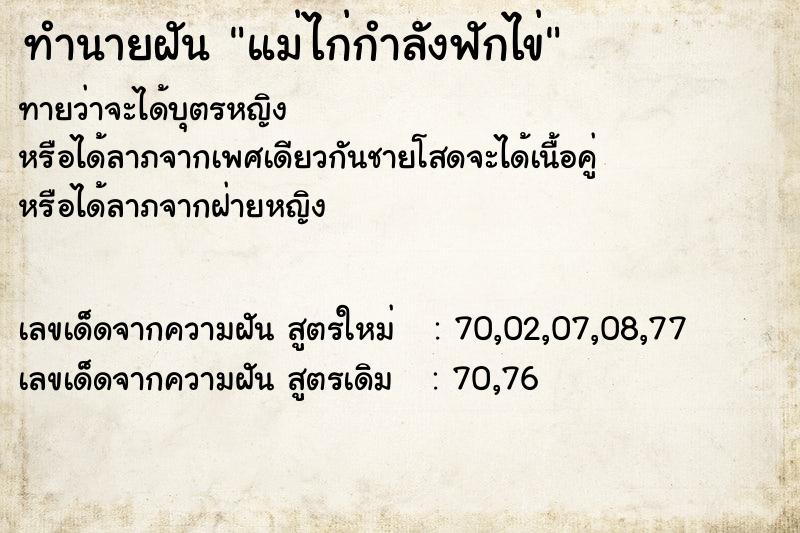 ทำนายฝันแม่ไก่กำลังฟักไข่ ทำนายฝันทำนายฝันแม่ไก่กำลังฟักไข่