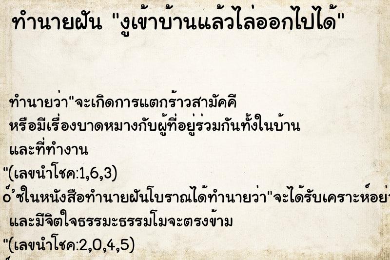 ทำนายฝันงูเข้าบ้านแล้วไล่ออกไปได้ ทำนายฝันทำนายฝันงูเข้าบ้านแล้วไล่ออกไปได้