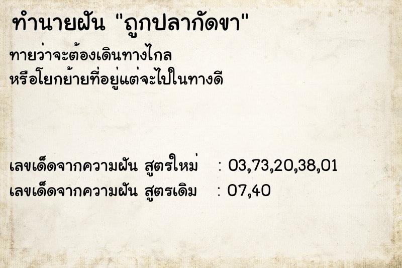 ทำนายฝันถูกปลากัดขา ทำนายฝันทำนายฝันถูกปลากัดขา