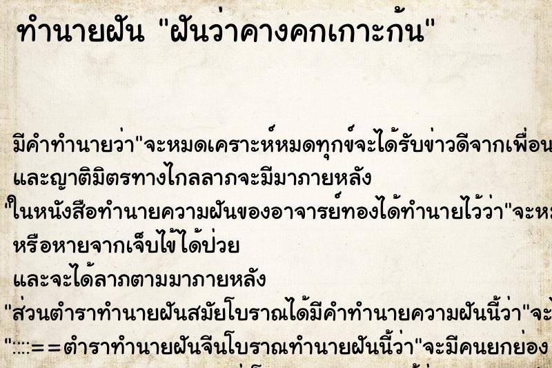 ทำนายฝัน ฝันว่าคางคกเกาะก้น ทำนายฝัน ฝันว่าคางคกเกาะก้น
