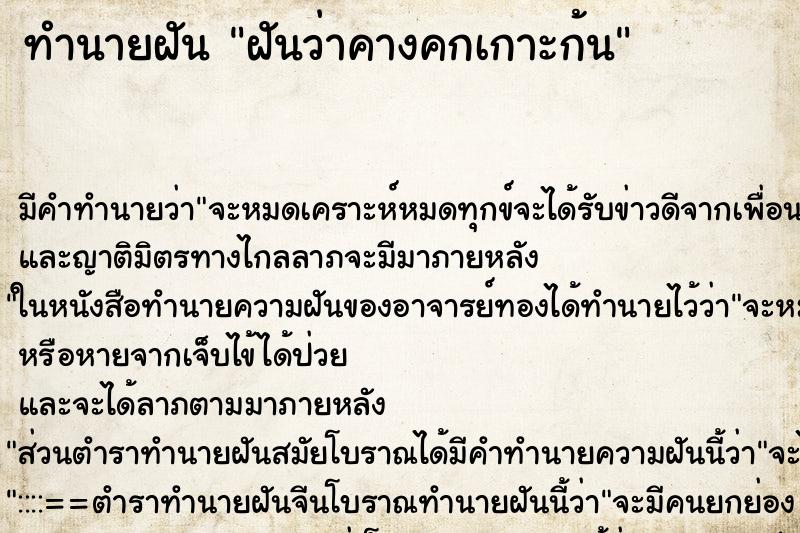 ทำนายฝัน ฝันว่าคางคกเกาะก้น ตำราโบราณ แม่นที่สุดในโลก