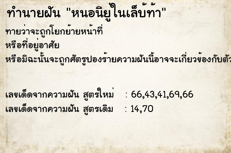 ทำนายฝันทำนายฝันหนอนิยู่ในเล็บ้ท้า