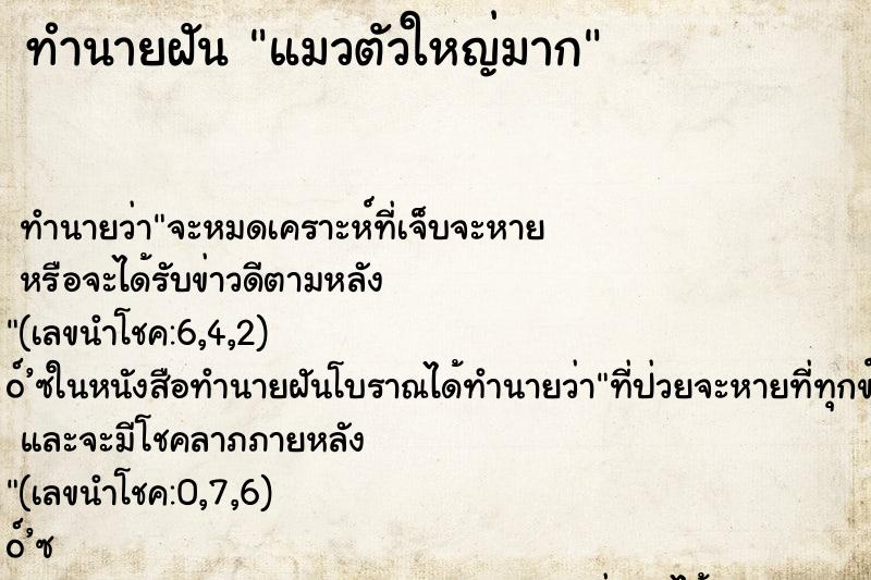 ทำนายฝัน แมวตัวใหญ่มาก