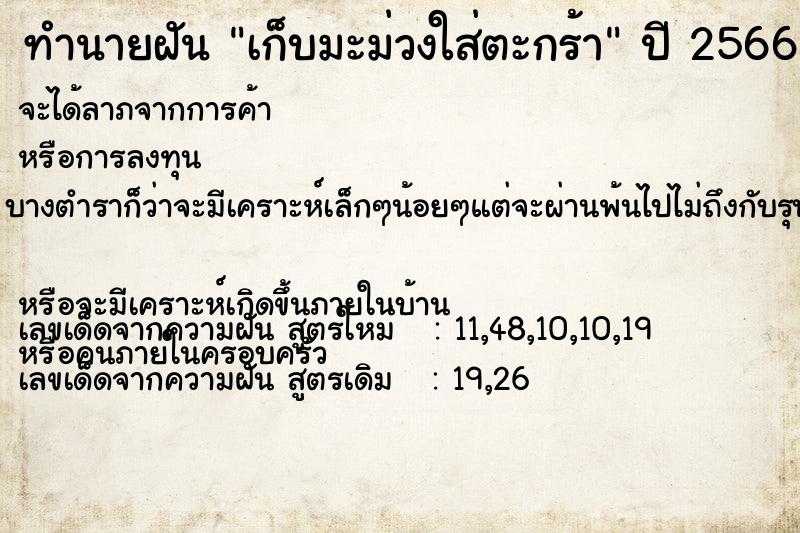 ทำนายฝัน เก็บมะม่วงใส่ตะกร้า ทำนายฝัน เก็บมะม่วงใส่ตะกร้า