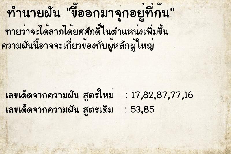 ทำนายฝันทำนายฝันขี้ออกมาจุกอยู่ที่ก้น