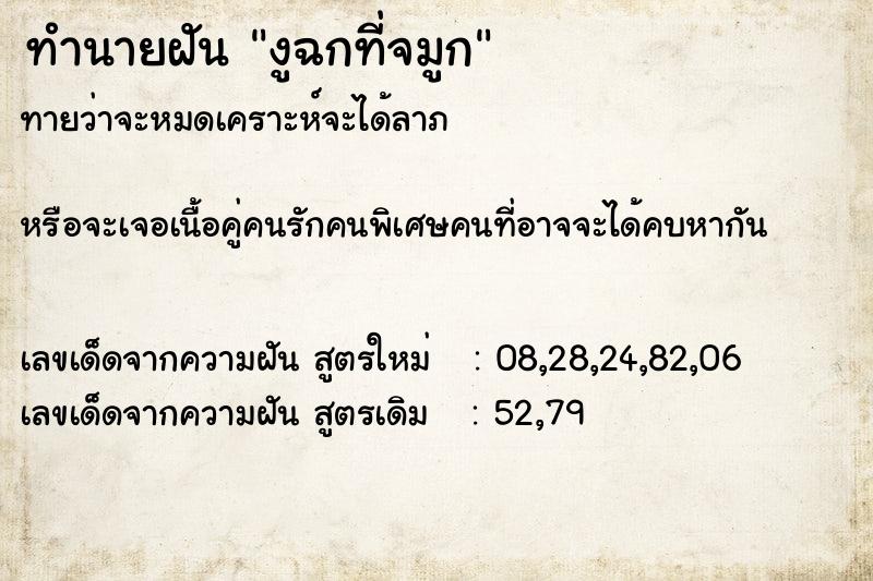 ทำนายฝันงูฉกที่จมูก ทำนายฝันทำนายฝันงูฉกที่จมูก