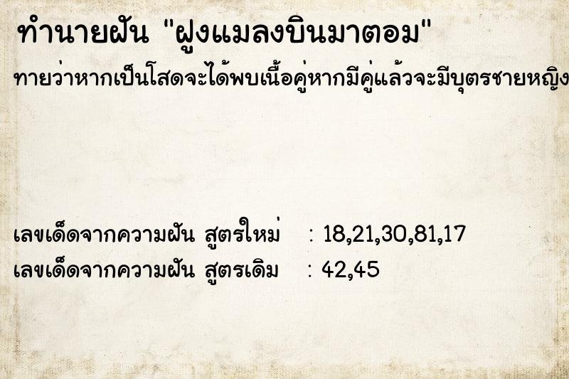 ทำนายฝันทำนายฝันฝูงแมลงบินมาตอม