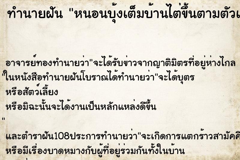 ทำนายฝัน หนอนบุ้งเต็มบ้านไต่ขึ้นตามตัวเต็มไปหมด ทำนายฝัน หนอนบุ้งเต็มบ้านไต่ขึ้นตามตัวเต็มไปหมด