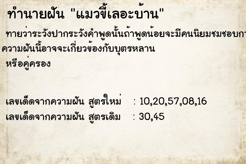 ทำนายฝันทำนายฝันแมวขี้เลอะบ้าน