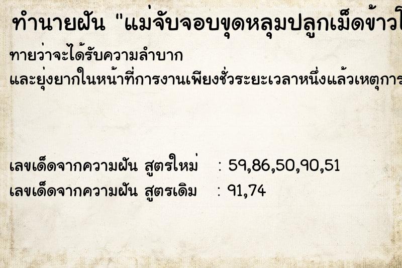 ทำนายฝันแม่จับจอบขุดหลุมปลูกเม็ดข้าวโพด ทำนายฝันทำนายฝันแม่จับจอบขุดหลุมปลูกเม็ดข้าวโพด