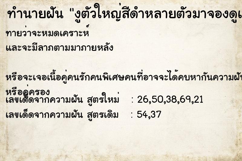 ทำนายฝันทำนายฝันงูตัวใหญ่สีดำหลายตัวมาจองดูเรา