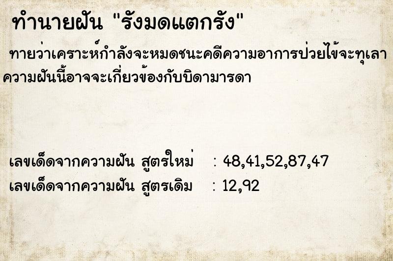 ทำนายฝันรังมดแตกรัง ทำนายฝันทำนายฝันรังมดแตกรัง