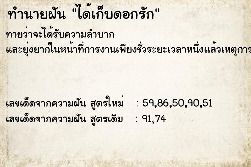 ทำนายฝันได้เก็บดอกรัก ทำนายฝันทำนายฝันได้เก็บดอกรัก