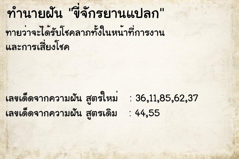ทำนายฝันขี่จักรยานแปลก ทำนายฝันทำนายฝันขี่จักรยานแปลก