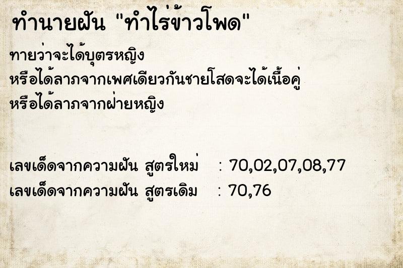 ทำนายฝันทำไร่ข้าวโพด ทำนายฝันทำนายฝันทำไร่ข้าวโพด