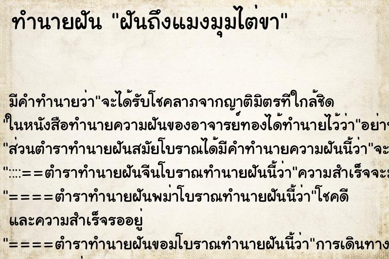 ทำนายฝันฝันถึงแมงมุมไต่ขา ทำนายฝันทำนายฝันฝันถึงแมงมุมไต่ขา