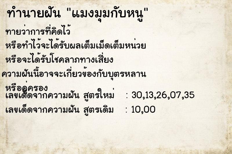 ทำนายฝัน แมงมุมกับหนู