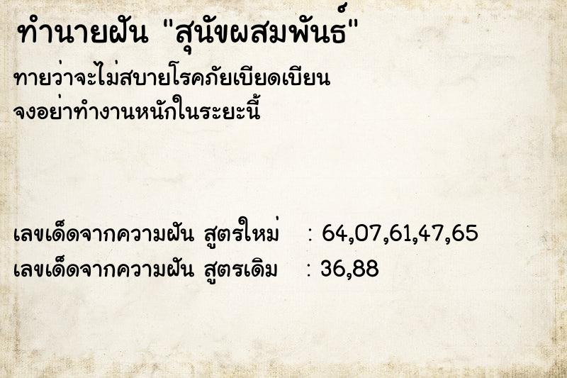 ทำนายฝันทำนายฝันสุนัขผสมพันธ์