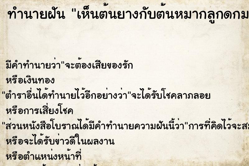 ทำนายฝัน เห็นต้นยางกับต้นหมากลูกดกมาก ทำนายฝัน เห็นต้นยางกับต้นหมากลูกดกมาก
