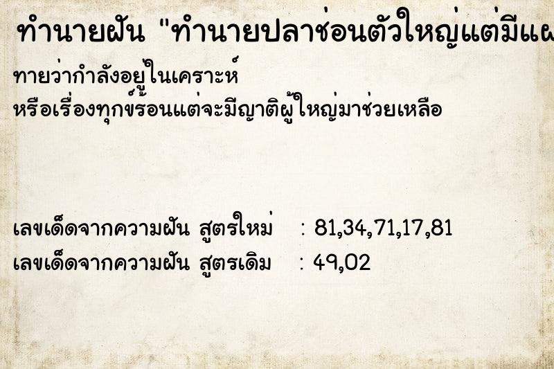 ทำนายฝันทำนายปลาช่อนตัวใหญ่แต่มีแผลที่หัว ทำนายฝันทำนายฝันทำนายปลาช่อนตัวใหญ่แต่มีแผลที่หัว