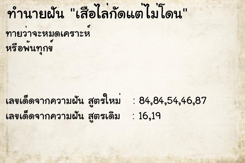 ทำนายฝันเสือไล่กัดแต่ไม่โดน ทำนายฝันทำนายฝันเสือไล่กัดแต่ไม่โดน