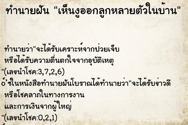 ทำนายฝัน เห็นงูออกลูกหลายตัวในบ้าน ตำราโบราณ แม่นที่สุดในโลก