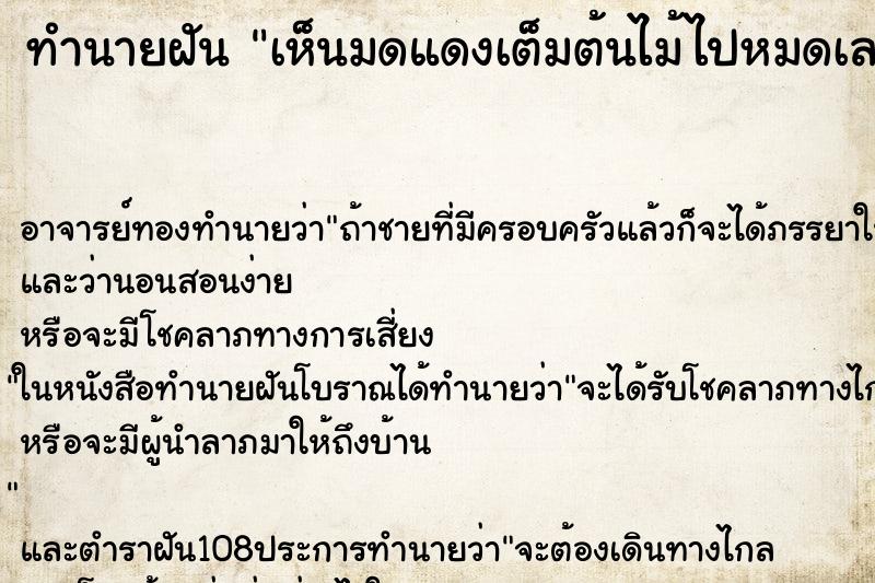 ทำนายฝันทำนายฝันเห็นมดแดงเต็มต้นไม้ไปหมดเลย