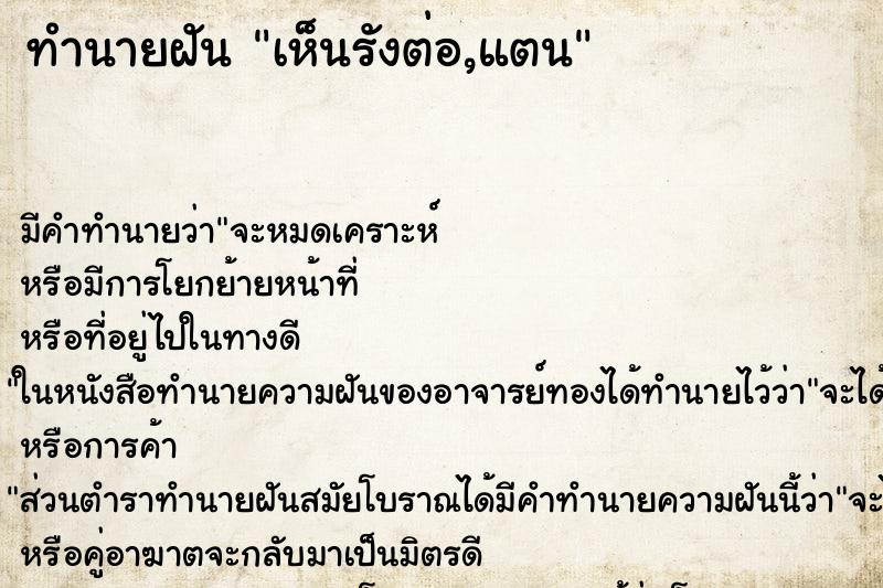 ทำนายฝัน เห็นรังต่อ,แตน ตำราโบราณ แม่นที่สุดในโลก