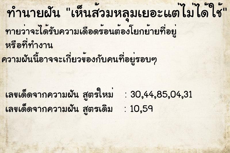 ทำนายฝันทำนายฝันเห็นส้วมหลุมเยอะแต่ไม่ได้ใช้