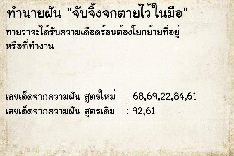 ทำนายฝันจับจิ้งจกตายไว้ในมือ ทำนายฝันทำนายฝันจับจิ้งจกตายไว้ในมือ