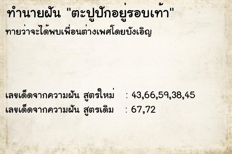 ทำนายฝันตะปูปักอยู่รอบเท้า ทำนายฝันทำนายฝันตะปูปักอยู่รอบเท้า