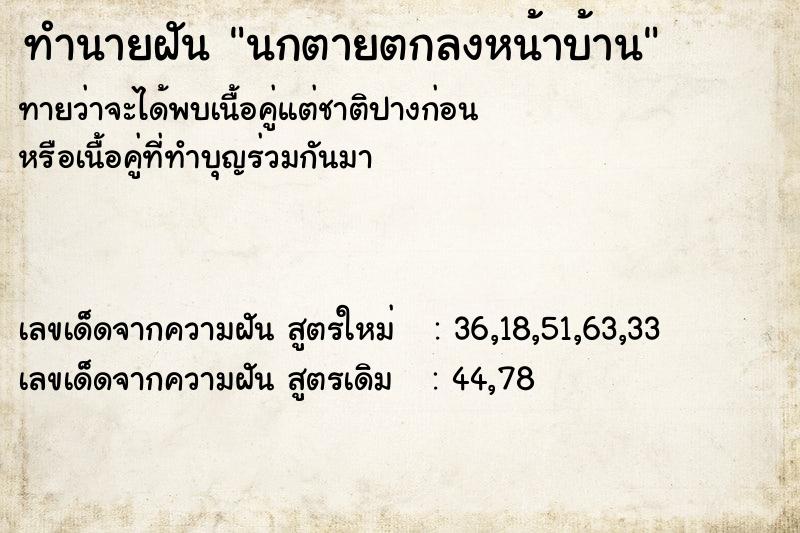 ทำนายฝันนกตายตกลงหน้าบ้าน ทำนายฝันทำนายฝันนกตายตกลงหน้าบ้าน