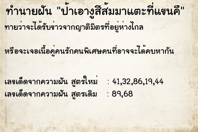 ทำนายฝันป้าเอางูสีส้มมาแตะที่แขนคื ทำนายฝันทำนายฝันป้าเอางูสีส้มมาแตะที่แขนคื