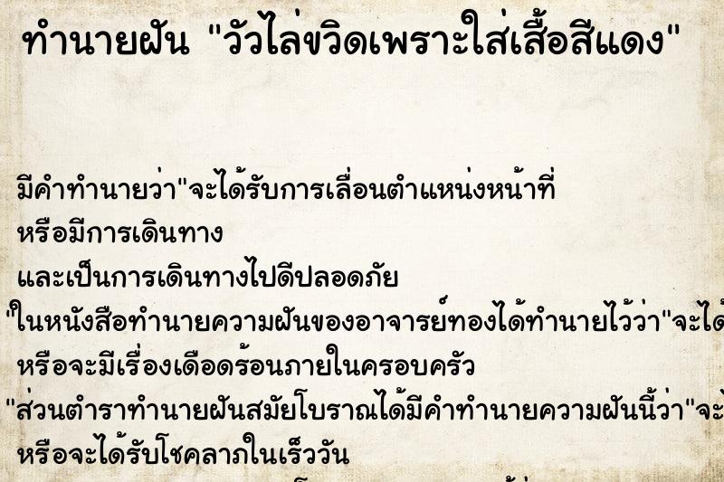 ทำนายฝันทำนายฝันวัวไล่ขวิดเพราะใส่เสื้อสีแดง