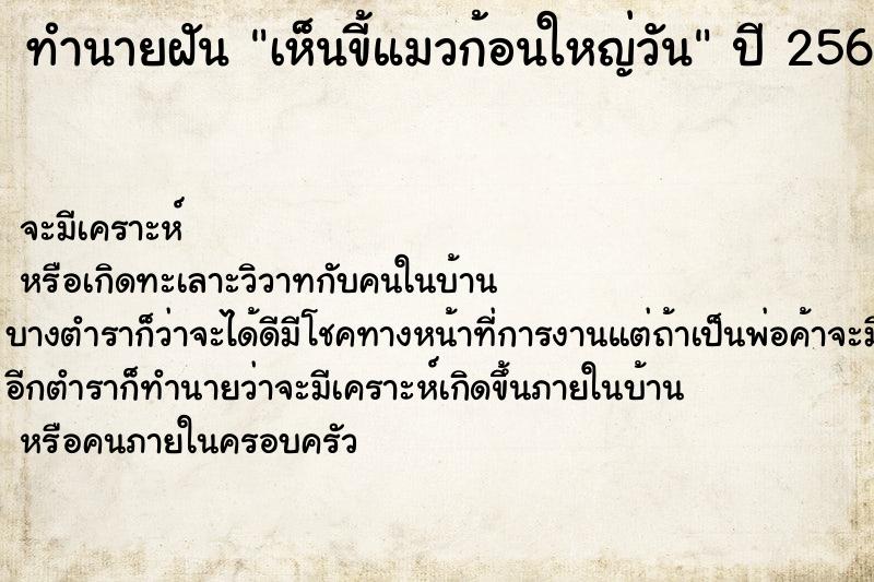 ทำนายฝันทำนายฝันเห็นขี้แมวก้อนใหญ่วัน
